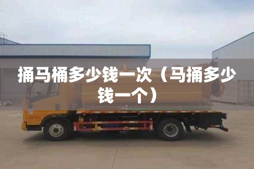 捅马桶多少钱一次（马捅多少钱一个）