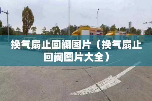 换气扇止回阀图片（换气扇止回阀图片大全）