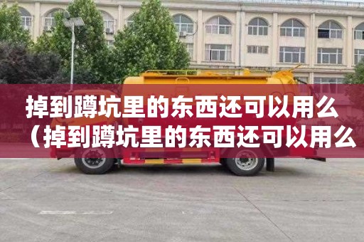 掉到蹲坑里的东西还可以用么（掉到蹲坑里的东西还可以用么吗）