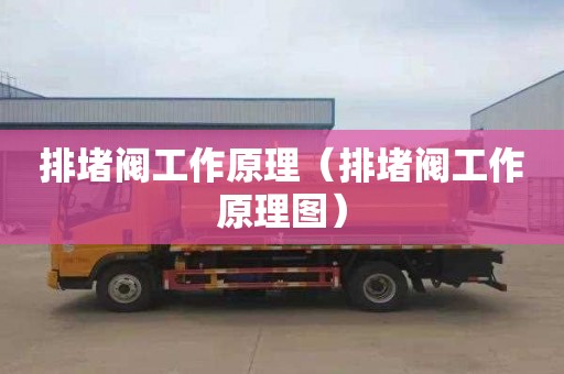 排堵阀工作原理（排堵阀工作原理图）