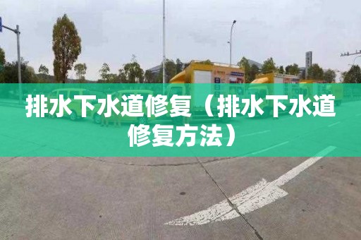 排水下水道修复（排水下水道修复方法）