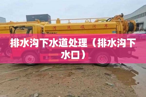 排水沟下水道处理（排水沟下水口）