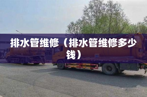 排水管维修（排水管维修多少钱）