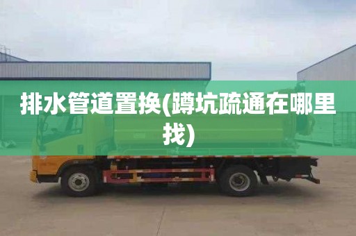 排水管道置换(蹲坑疏通在哪里找)