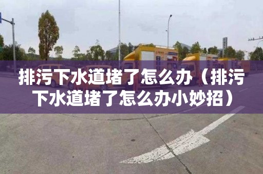 排污下水道堵了怎么办（排污下水道堵了怎么办小妙招）