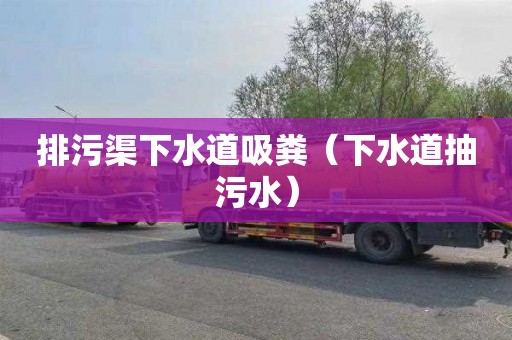 排污渠下水道吸粪（下水道抽污水）