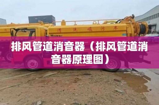 排风管道消音器（排风管道消音器原理图）