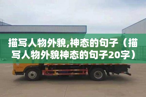 描写人物外貌,神态的句子（描写人物外貌神态的句子20字）