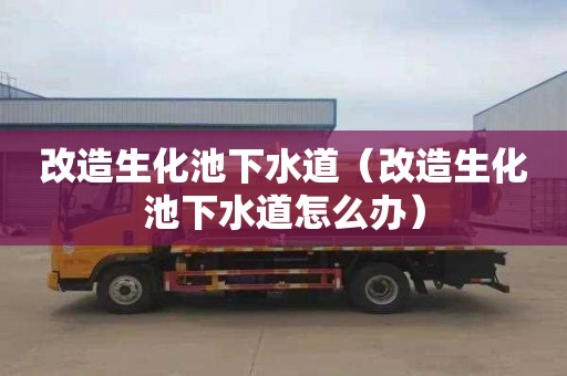 改造生化池下水道（改造生化池下水道怎么办）