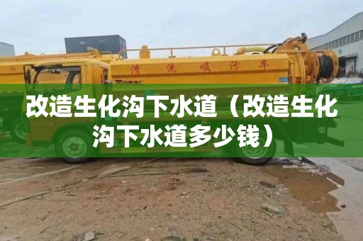 改造生化沟下水道（改造生化沟下水道多少钱）