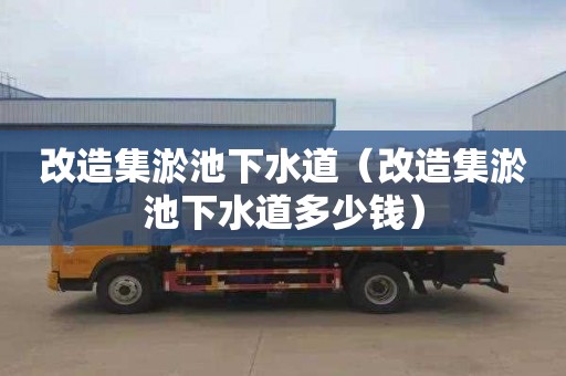 改造集淤池下水道（改造集淤池下水道多少钱）