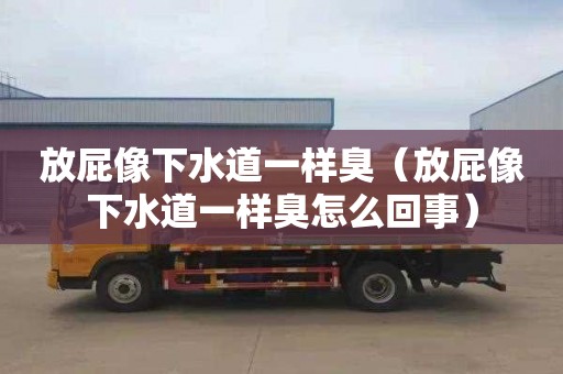 放屁像下水道一样臭（放屁像下水道一样臭怎么回事）