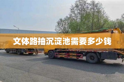 文体路抽沉淀池需要多少钱