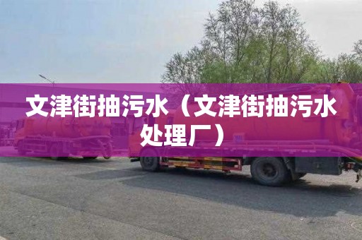 文津街抽污水（文津街抽污水处理厂）