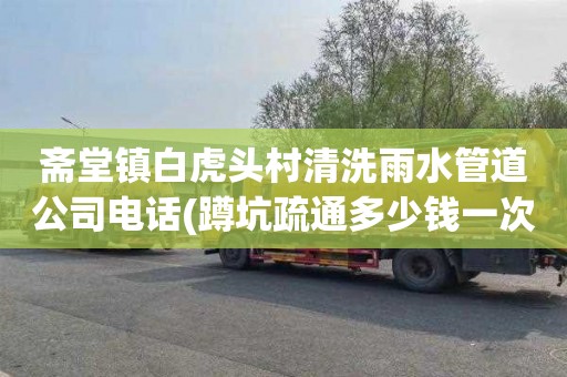 斋堂镇白虎头村清洗雨水管道公司电话(蹲坑疏通多少钱一次)