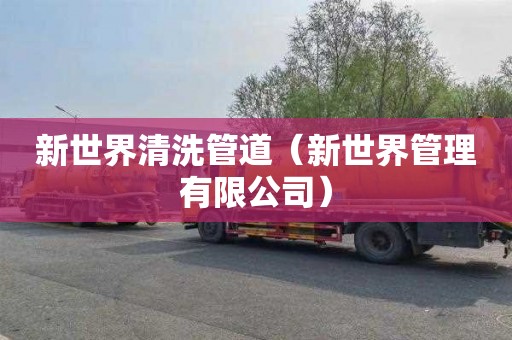 新世界清洗管道（新世界管理有限公司）