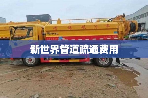 新世界管道疏通费用