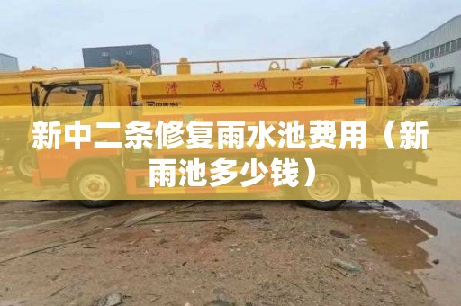 新中二条修复雨水池费用（新雨池多少钱）