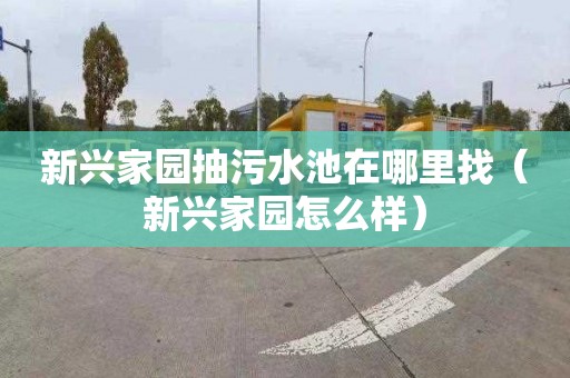新兴家园抽污水池在哪里找（新兴家园怎么样）