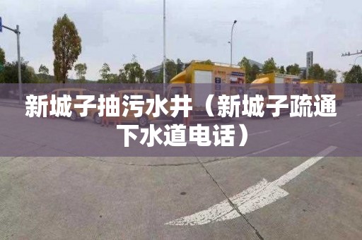 新城子抽污水井（新城子疏通下水道电话）