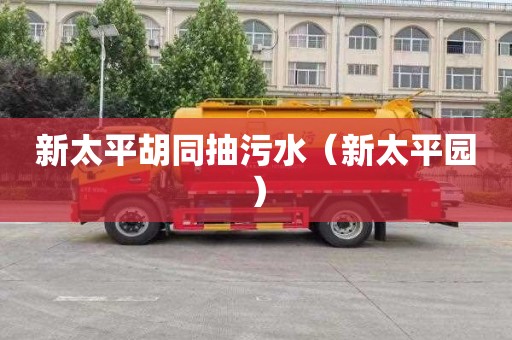 新太平胡同抽污水（新太平园）
