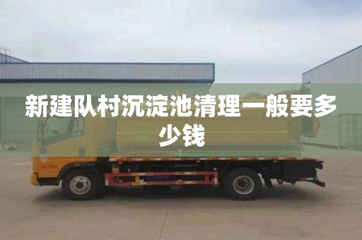 新建队村沉淀池清理一般要多少钱