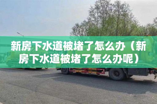 新房下水道被堵了怎么办（新房下水道被堵了怎么办呢）