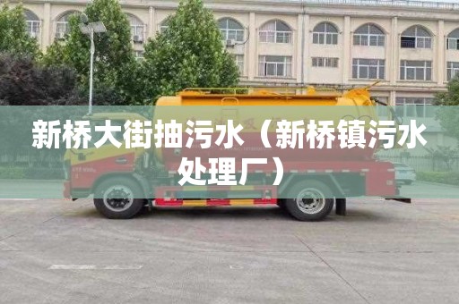 新桥大街抽污水（新桥镇污水处理厂）