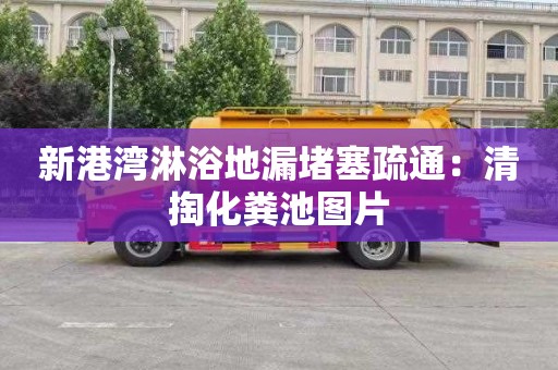 新港湾淋浴地漏堵塞疏通：清掏化粪池图片