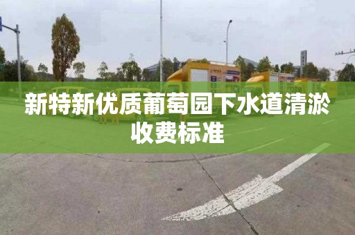 新特新优质葡萄园下水道清淤收费标准