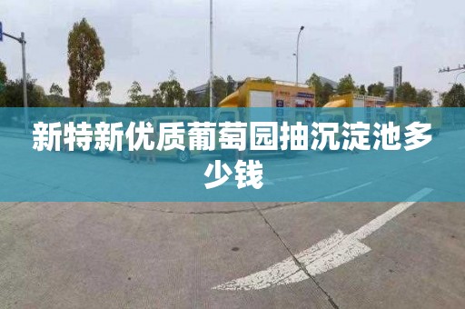 新特新优质葡萄园抽沉淀池多少钱