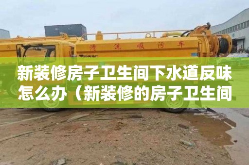 新装修房子卫生间下水道反味怎么办（新装修的房子卫生间下水道有异味）