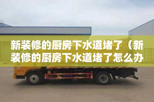 新装修的厨房下水道堵了（新装修的厨房下水道堵了怎么办）