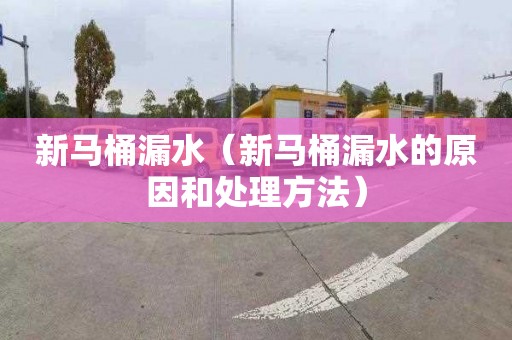 新马桶漏水（新马桶漏水的原因和处理方法）