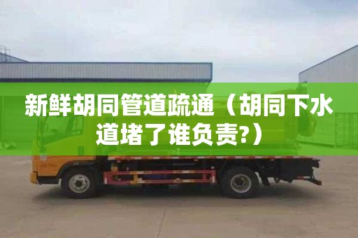 新鲜胡同管道疏通（胡同下水道堵了谁负责?）