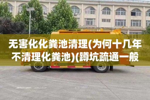 无害化化粪池清理(为何十几年不清理化粪池)(蹲坑疏通一般要多少钱)