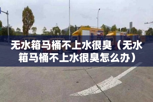 无水箱马桶不上水很臭（无水箱马桶不上水很臭怎么办）