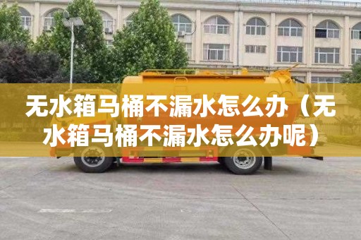 无水箱马桶不漏水怎么办（无水箱马桶不漏水怎么办呢）
