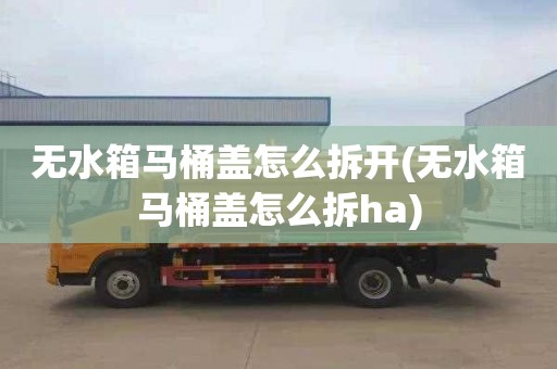 无水箱马桶盖怎么拆开(无水箱马桶盖怎么拆ha)