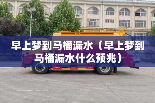早上梦到马桶漏水（早上梦到马桶漏水什么预兆）