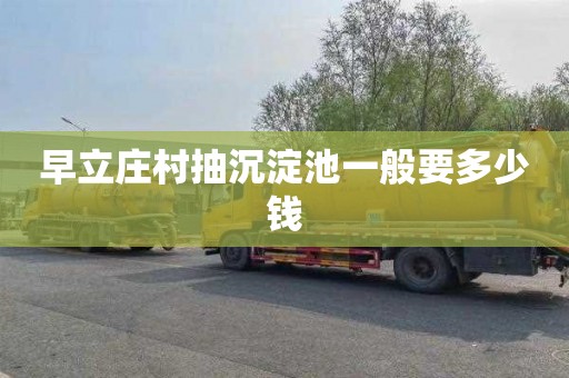 早立庄村抽沉淀池一般要多少钱