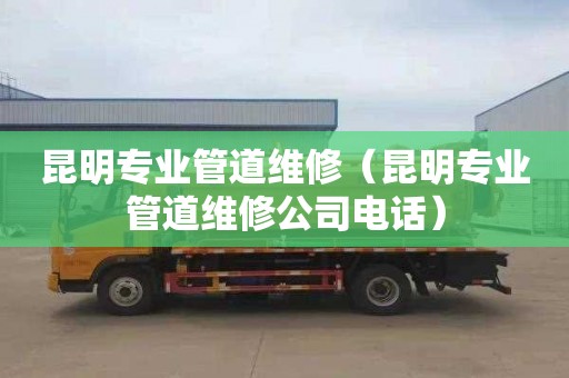 昆明专业管道维修（昆明专业管道维修公司电话）