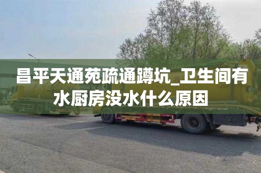 昌平天通苑疏通蹲坑_卫生间有水厨房没水什么原因