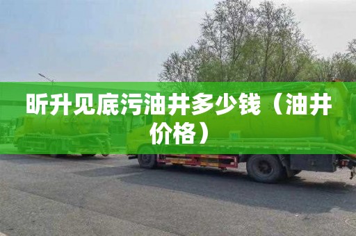 昕升见底污油井多少钱（油井价格）