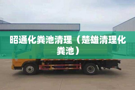 昭通化粪池清理（楚雄清理化粪池）
