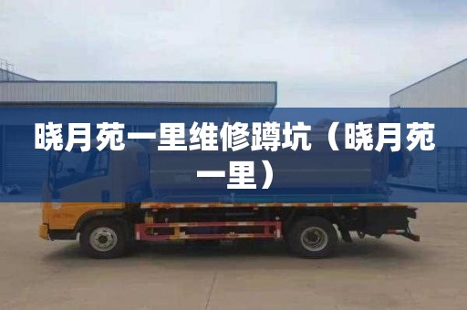 晓月苑一里维修蹲坑（晓月苑一里）