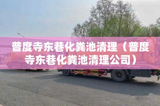 普度寺东巷化粪池清理（普度寺东巷化粪池清理公司）