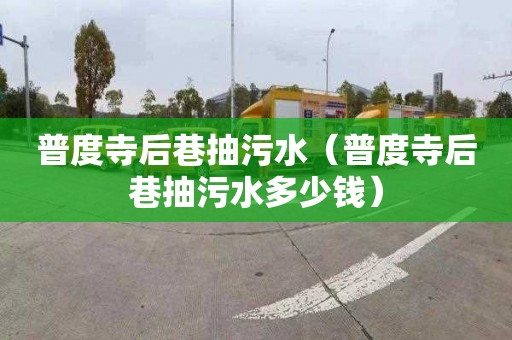 普度寺后巷抽污水（普度寺后巷抽污水多少钱）