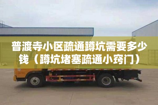 普渡寺小区疏通蹲坑需要多少钱（蹲坑堵塞疏通小窍门）