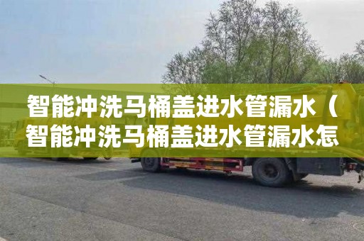 智能冲洗马桶盖进水管漏水（智能冲洗马桶盖进水管漏水怎么办）
